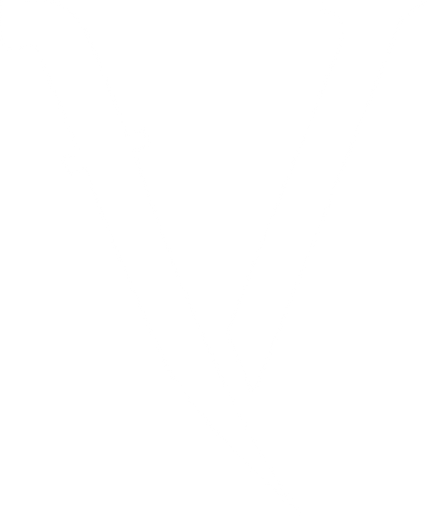 Vezier